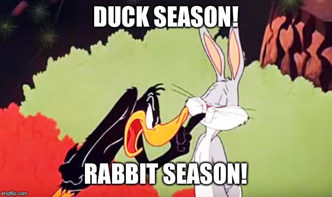 Duck Season | DUCK SEASON! RABBIT SEASON! | image tagged in duck season | made w/ Imgflip meme maker