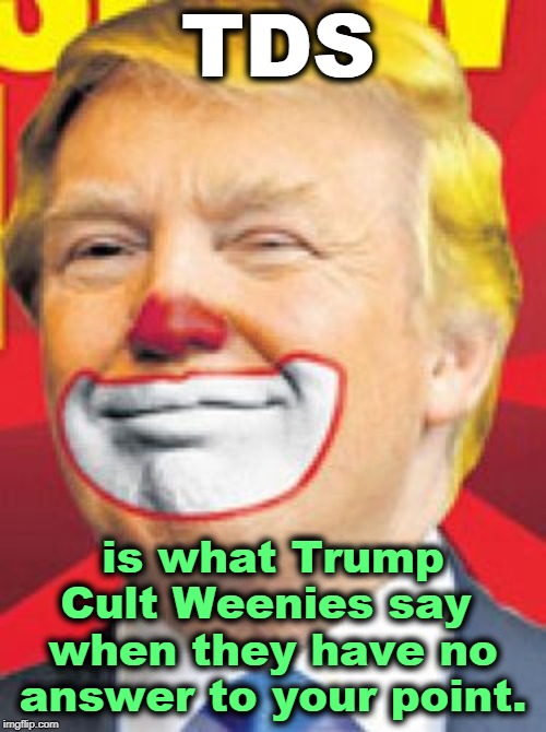 Trump clown | TDS; is what Trump Cult Weenies say 
when they have no answer to your point. | image tagged in trump clown,trump derangement syndrome,trump cult weenies | made w/ Imgflip meme maker