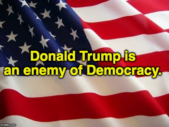 American flag | Donald Trump is
an enemy of Democracy. | image tagged in american flag | made w/ Imgflip meme maker