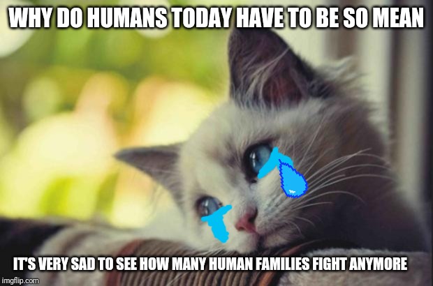 This is how I feel about humans today | WHY DO HUMANS TODAY HAVE TO BE SO MEAN; IT'S VERY SAD TO SEE HOW MANY HUMAN FAMILIES FIGHT ANYMORE | image tagged in sad cat,memes,sad memes,sad cat memes,cat memes,cats | made w/ Imgflip meme maker