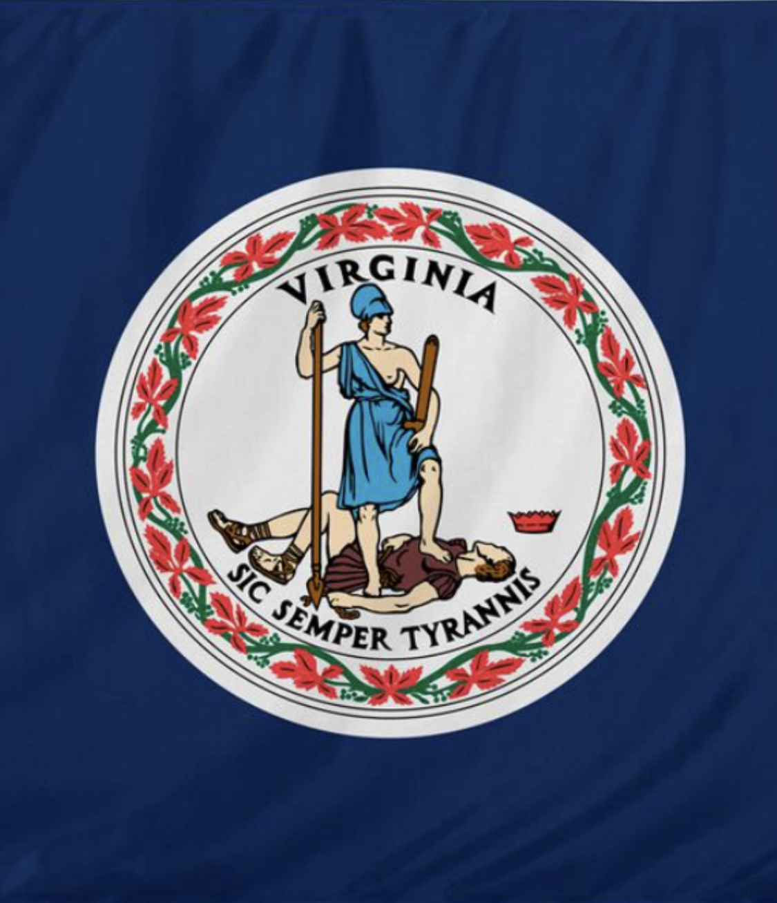 High Quality Virginia Flag Boogalations Blank Meme Template