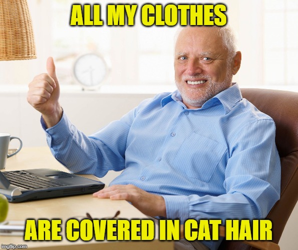 Hide the pain harold | ALL MY CLOTHES ARE COVERED IN CAT HAIR | image tagged in hide the pain harold | made w/ Imgflip meme maker