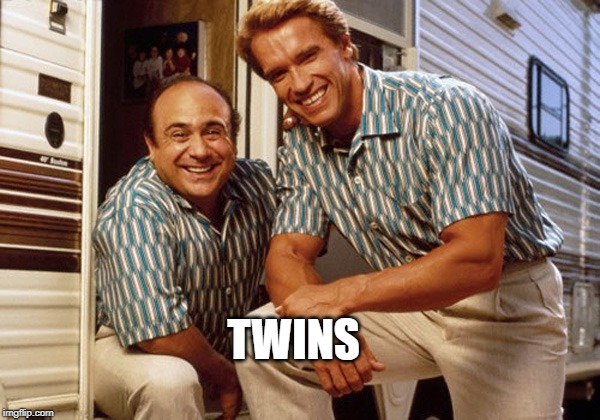 Arnold Schwarzenegger & Danny DeVito | TWINS | image tagged in arnold schwarzenegger  danny devito | made w/ Imgflip meme maker