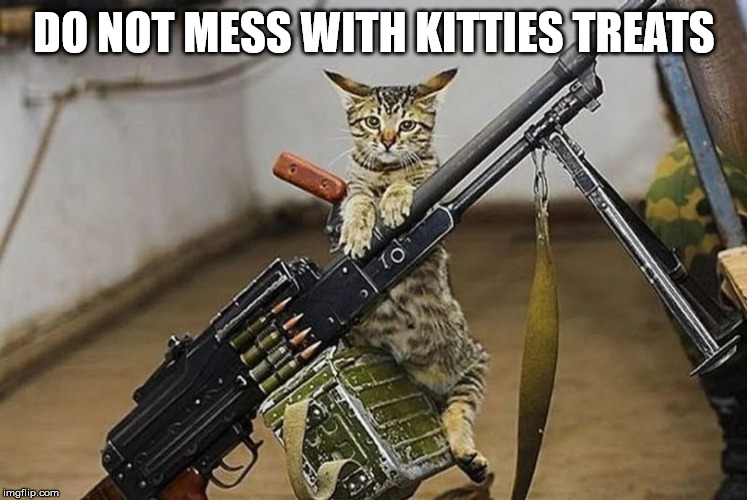 Protect the treats | DO NOT MESS WITH KITTIES TREATS | image tagged in cats | made w/ Imgflip meme maker