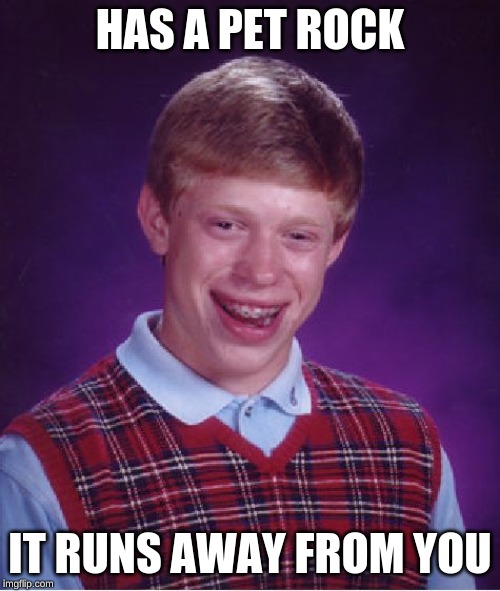 even your rock does not like you | HAS A PET ROCK; IT RUNS AWAY FROM YOU | image tagged in memes,bad luck brian,lol,funny,rock,pets | made w/ Imgflip meme maker