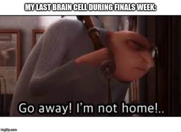 MY LAST BRAIN CELL DURING FINALS WEEK: | image tagged in gru | made w/ Imgflip meme maker