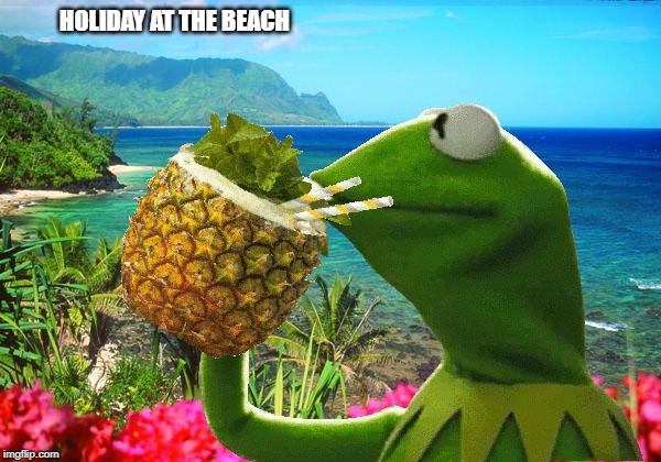 vacation kermit | HOLIDAY AT THE BEACH | image tagged in vacation kermit | made w/ Imgflip meme maker