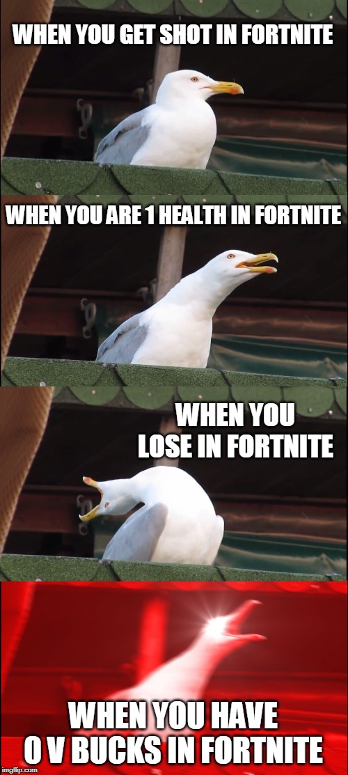 Inhaling Seagull | WHEN YOU GET SHOT IN FORTNITE; WHEN YOU ARE 1 HEALTH IN FORTNITE; WHEN YOU LOSE IN FORTNITE; WHEN YOU HAVE 0 V BUCKS IN FORTNITE | image tagged in memes,inhaling seagull | made w/ Imgflip meme maker