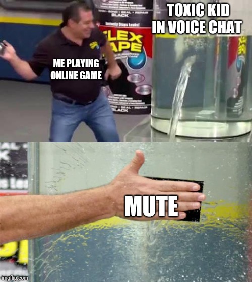 Flex Tape | TOXIC KID IN VOICE CHAT; ME PLAYING ONLINE GAME; MUTE | image tagged in flex tape | made w/ Imgflip meme maker