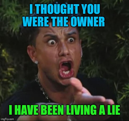 DJ Pauly D Meme | I THOUGHT YOU WERE THE OWNER I HAVE BEEN LIVING A LIE | image tagged in memes,dj pauly d | made w/ Imgflip meme maker