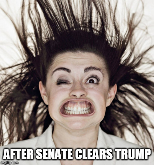 democrat | AFTER SENATE CLEARS TRUMP | image tagged in democrat | made w/ Imgflip meme maker
