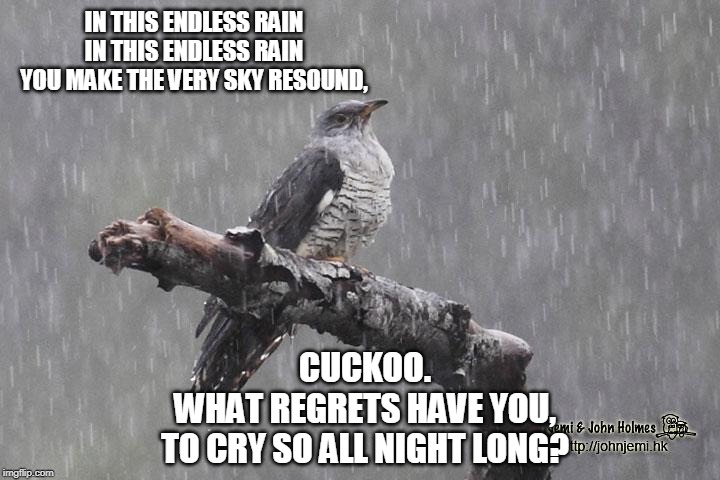 IN THIS ENDLESS RAIN
IN THIS ENDLESS RAIN
YOU MAKE THE VERY SKY RESOUND, CUCKOO.
WHAT REGRETS HAVE YOU,
TO CRY SO ALL NIGHT LONG? | made w/ Imgflip meme maker