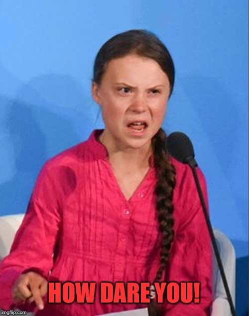 Greta Thunberg how dare you | HOW DARE YOU! | image tagged in greta thunberg how dare you | made w/ Imgflip meme maker