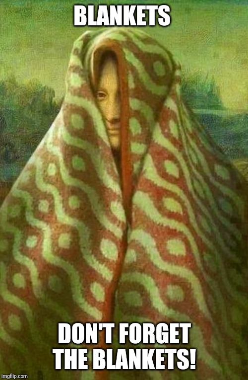 mona lisa blanket | BLANKETS DON'T FORGET THE BLANKETS! | image tagged in mona lisa blanket | made w/ Imgflip meme maker