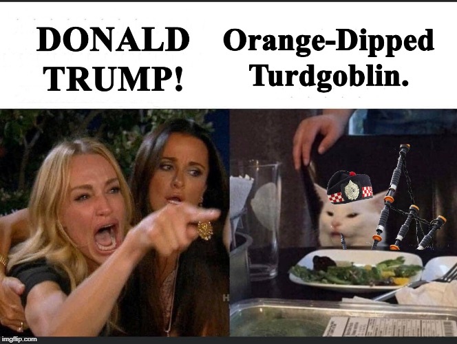 Woman Yelling at Cat | image tagged in politics,political meme,political | made w/ Imgflip meme maker