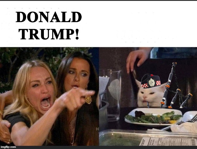 Woman Yelling at Cat | image tagged in politics,political meme | made w/ Imgflip meme maker