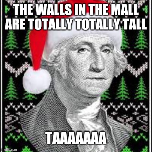 THE WALLS IN THE MALL ARE TOTALLY TOTALLY TALL; TAAAAAAA | made w/ Imgflip meme maker