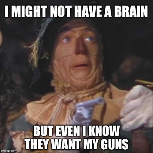 I MIGHT NOT HAVE A BRAIN BUT EVEN I KNOW THEY WANT MY GUNS | made w/ Imgflip meme maker