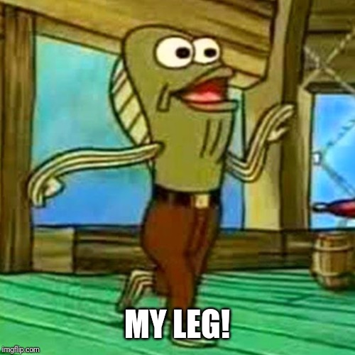 my leg | MY LEG! | image tagged in my leg | made w/ Imgflip meme maker