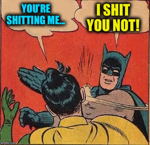 Batman Slapping Robin Meme | YOU’RE SHITTING ME... I SHIT YOU NOT! | image tagged in memes,batman slapping robin | made w/ Imgflip meme maker