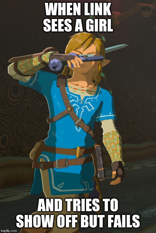 Link | WHEN LINK SEES A GIRL; AND TRIES TO SHOW OFF BUT FAILS | image tagged in link | made w/ Imgflip meme maker