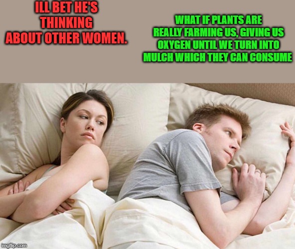 what if | ILL BET HE'S THINKING ABOUT OTHER WOMEN. WHAT IF PLANTS ARE REALLY FARMING US, GIVING US OXYGEN UNTIL WE TURN INTO MULCH WHICH THEY CAN CONSUME | image tagged in i bet he's thinking about other women,kewlew | made w/ Imgflip meme maker