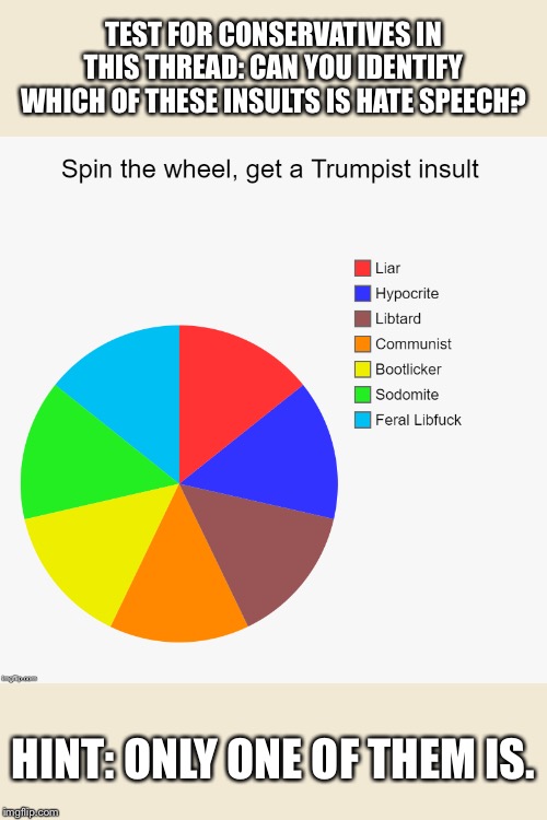 This is what the most impassioned “defenders of free speech” do on a routine basis. | TEST FOR CONSERVATIVES IN THIS THREAD: CAN YOU IDENTIFY WHICH OF THESE INSULTS IS HATE SPEECH? HINT: ONLY ONE OF THEM IS. | image tagged in wheel of trumpist insults,free speech,insults,insult,hate speech,conservatives | made w/ Imgflip meme maker