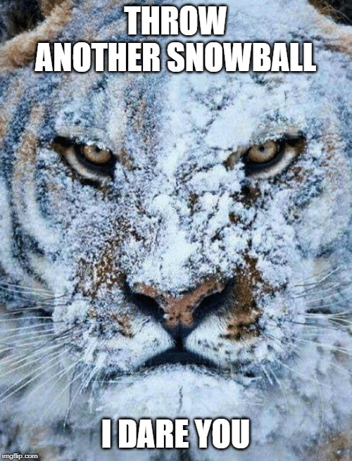 THROW ANOTHER SNOWBALL I DARE YOU | made w/ Imgflip meme maker