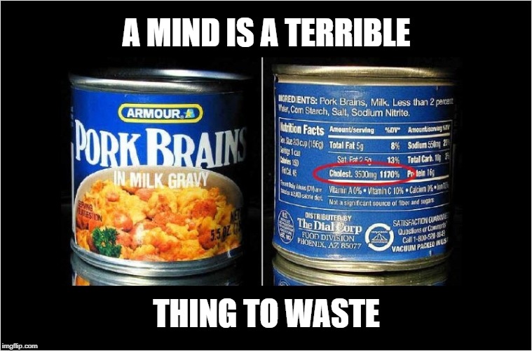 A MIND IS A TERRIBLE; THING TO WASTE | image tagged in memes,brains,funny | made w/ Imgflip meme maker