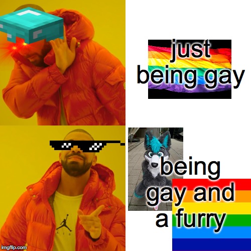 Drake Hotline Bling | just being gay; being gay and a furry | image tagged in memes,drake hotline bling | made w/ Imgflip meme maker