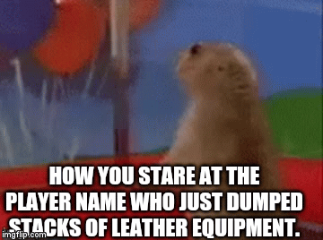 Surprised chipmunk | HOW YOU STARE AT THE PLAYER NAME WHO JUST DUMPED STACKS OF LEATHER EQUIPMENT. | image tagged in gifs | made w/ Imgflip video-to-gif maker