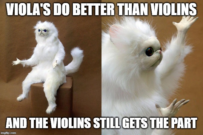 Persian Cat Room Guardian Meme | VIOLA'S DO BETTER THAN VIOLINS; AND THE VIOLINS STILL GETS THE PART | image tagged in memes,persian cat room guardian | made w/ Imgflip meme maker