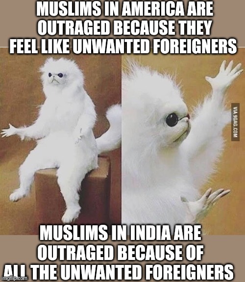 Confused white monkey | MUSLIMS IN AMERICA ARE OUTRAGED BECAUSE THEY FEEL LIKE UNWANTED FOREIGNERS; MUSLIMS IN INDIA ARE OUTRAGED BECAUSE OF ALL THE UNWANTED FOREIGNERS | image tagged in confused white monkey | made w/ Imgflip meme maker