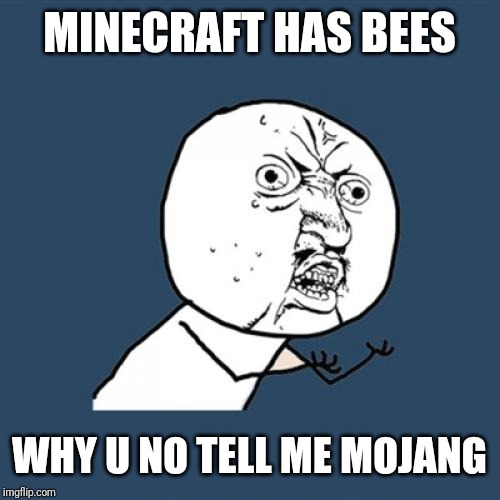 Y U No | MINECRAFT HAS BEES; WHY U NO TELL ME MOJANG | image tagged in memes,y u no | made w/ Imgflip meme maker