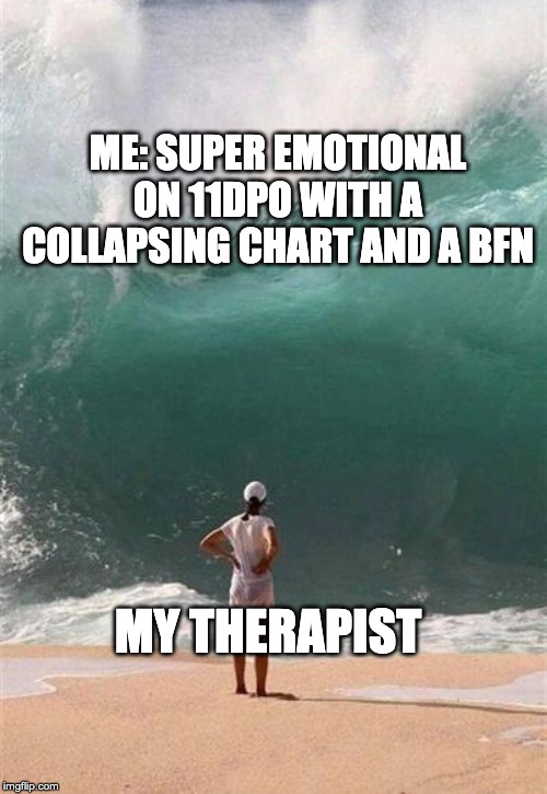 Wave | ME: SUPER EMOTIONAL ON 11DPO WITH A COLLAPSING CHART AND A BFN; MY THERAPIST | image tagged in wave,trollingforababy | made w/ Imgflip meme maker