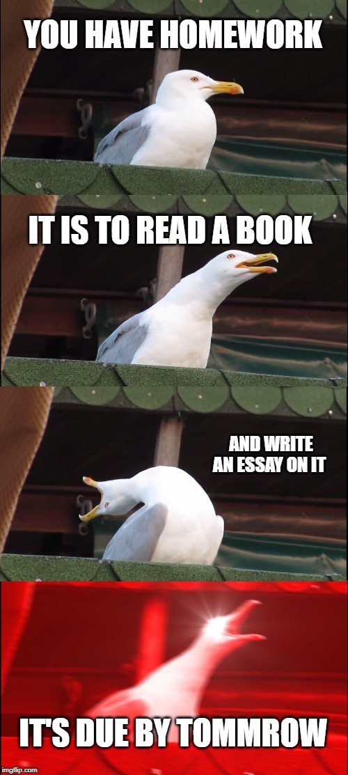 Inhaling Seagull | YOU HAVE HOMEWORK; IT IS TO READ A BOOK; AND WRITE AN ESSAY ON IT; IT'S DUE BY TOMMROW | image tagged in memes,inhaling seagull | made w/ Imgflip meme maker