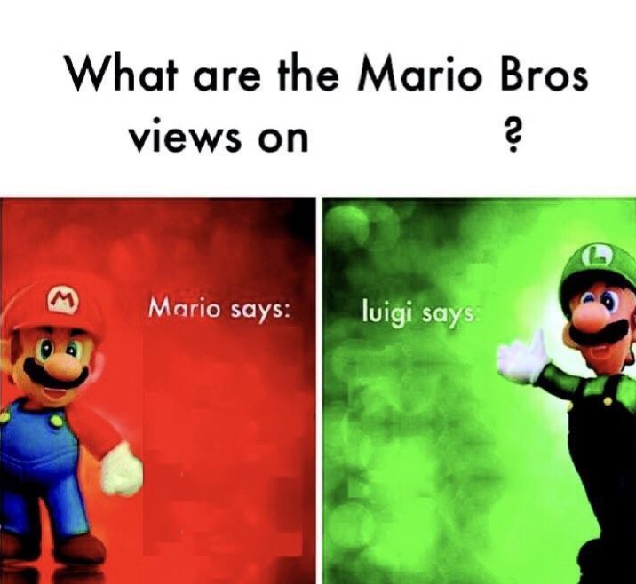 What are the Mario Bros views on Blank Meme Template