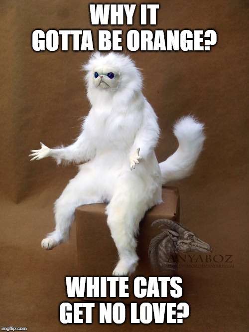 Persian Cat Room Guardian Single Meme | WHY IT GOTTA BE ORANGE? WHITE CATS GET NO LOVE? | image tagged in memes,persian cat room guardian single | made w/ Imgflip meme maker