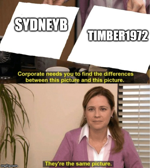 They're The Same Picture Meme | SYDNEYB TIMBER1972 | image tagged in office same picture | made w/ Imgflip meme maker