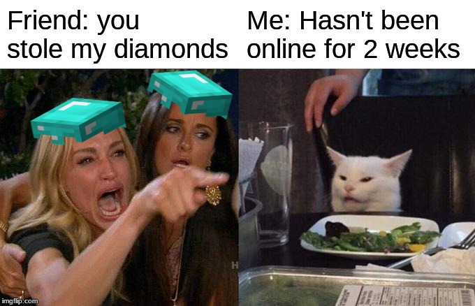 Woman Yelling At Cat Meme | Friend: you stole my diamonds; Me: Hasn't been online for 2 weeks | image tagged in memes,woman yelling at cat | made w/ Imgflip meme maker