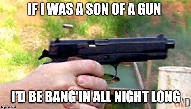 Gun memes | IF I WAS A SON OF A GUN; I'D BE BANG'IN ALL NIGHT LONG | image tagged in funny | made w/ Imgflip meme maker