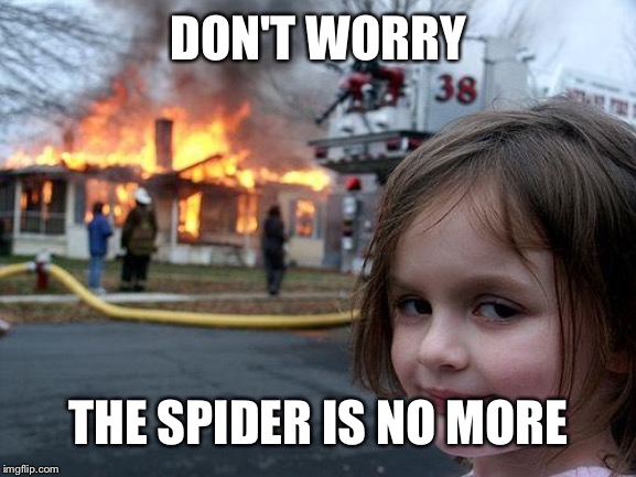 Disaster Girl | DON'T WORRY; THE SPIDER IS NO MORE | image tagged in memes,disaster girl | made w/ Imgflip meme maker