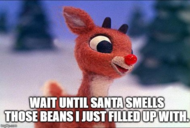 rudolph | WAIT UNTIL SANTA SMELLS THOSE BEANS I JUST FILLED UP WITH. | image tagged in rudolph | made w/ Imgflip meme maker