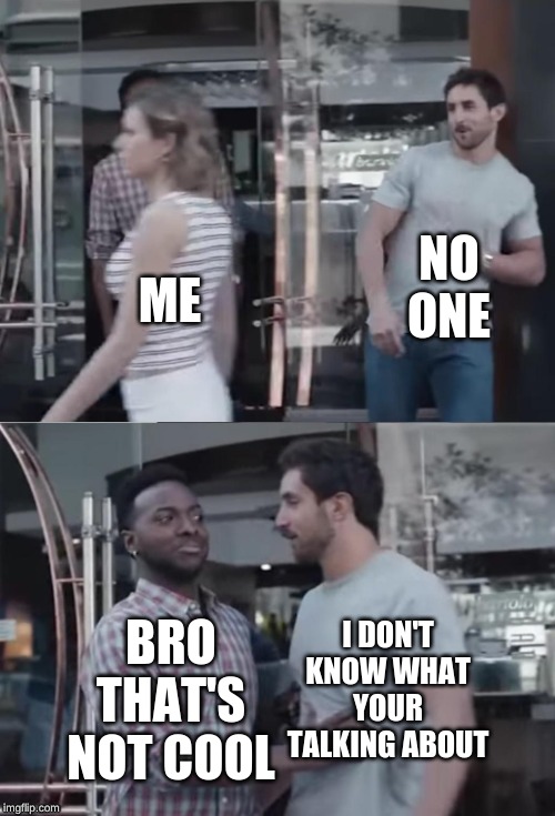 Bro not cool | NO ONE; ME; I DON'T KNOW WHAT YOUR TALKING ABOUT; BRO THAT'S NOT COOL | image tagged in bro not cool | made w/ Imgflip meme maker