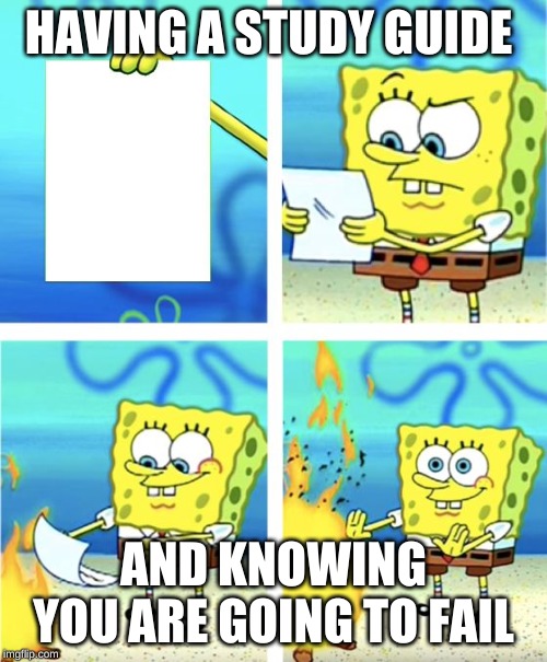 Spongebob Burning Paper | HAVING A STUDY GUIDE; AND KNOWING YOU ARE GOING TO FAIL | image tagged in spongebob burning paper | made w/ Imgflip meme maker