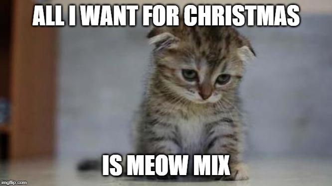 Sad kitten | ALL I WANT FOR CHRISTMAS; IS MEOW MIX | image tagged in sad kitten | made w/ Imgflip meme maker