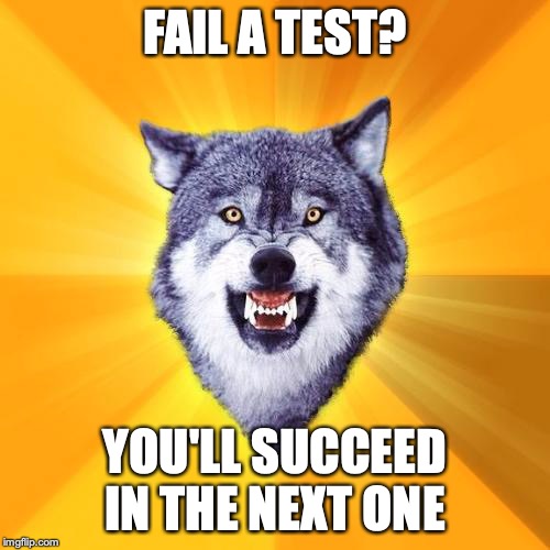 When you fail a test | FAIL A TEST? YOU'LL SUCCEED IN THE NEXT ONE | image tagged in memes,courage wolf | made w/ Imgflip meme maker