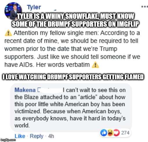 Trump supporter flamed | TYLER IS A WHINY SNOWFLAKE, MUST KNOW SOME OF THE DRUMPF SUPPORTERS ON IMGFLIP; I LOVE WATCHING DRUMPF SUPPORTERS GETTING FLAMED | image tagged in trump supporter flamed | made w/ Imgflip meme maker