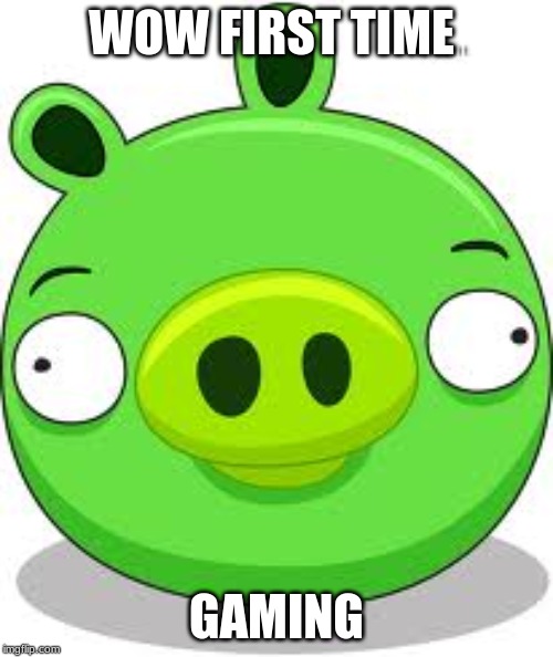 Angry Birds Pig Meme | WOW FIRST TIME; GAMING | image tagged in memes,angry birds pig | made w/ Imgflip meme maker