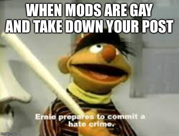 Ernie Prepares to commit a hate crime | WHEN MODS ARE GAY AND TAKE DOWN YOUR POST | image tagged in ernie prepares to commit a hate crime | made w/ Imgflip meme maker